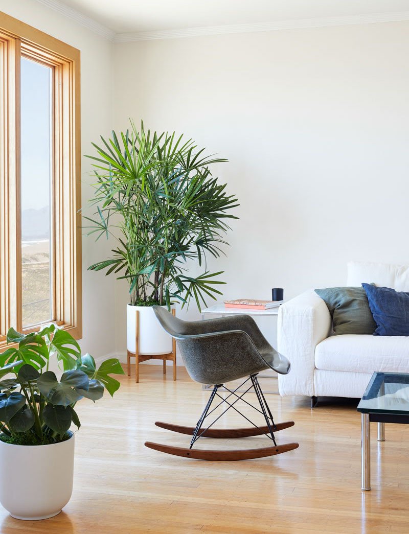 How To Decorate A Small Living Room With Plants — Plant Care Tips ...