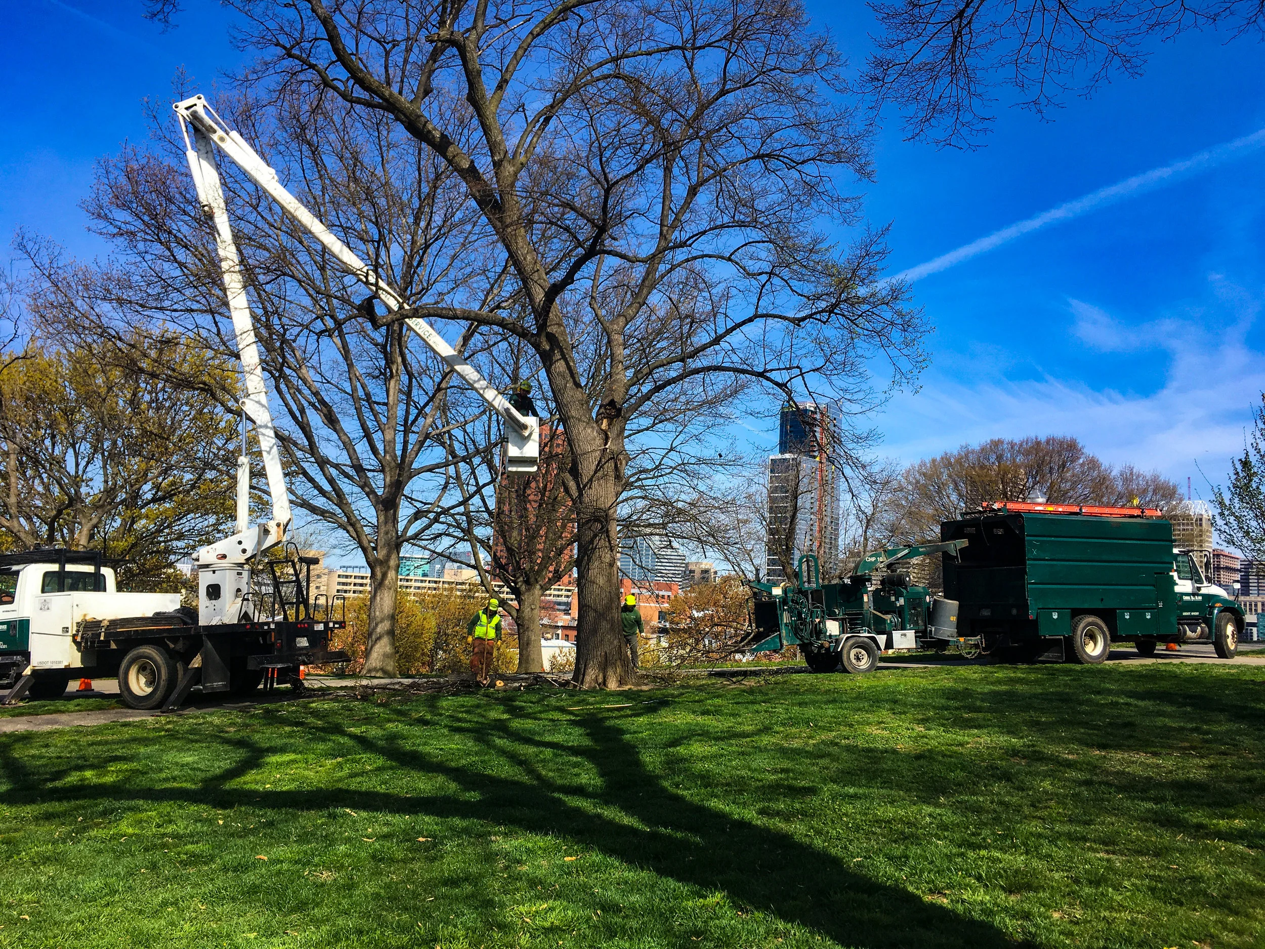 arborist day p3_edited.jpg