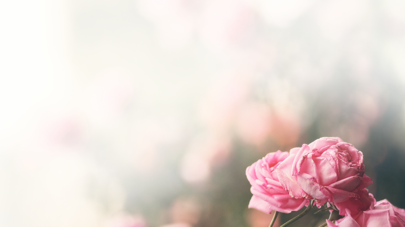 Roses.png