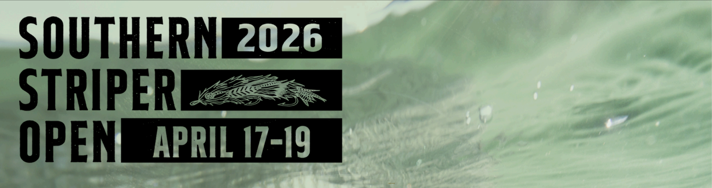 Screenshot 2026-02-09 at 11.47.03 AM.png