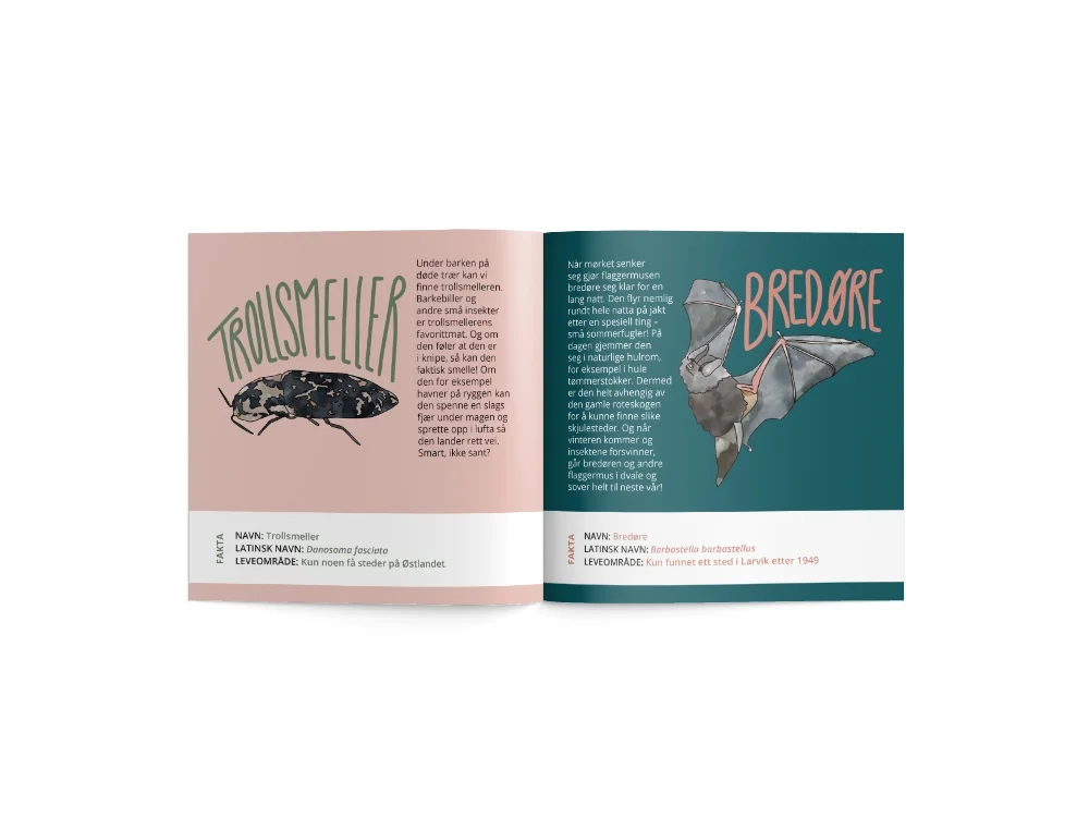 mock up verdens kuleste dag folder.jpg