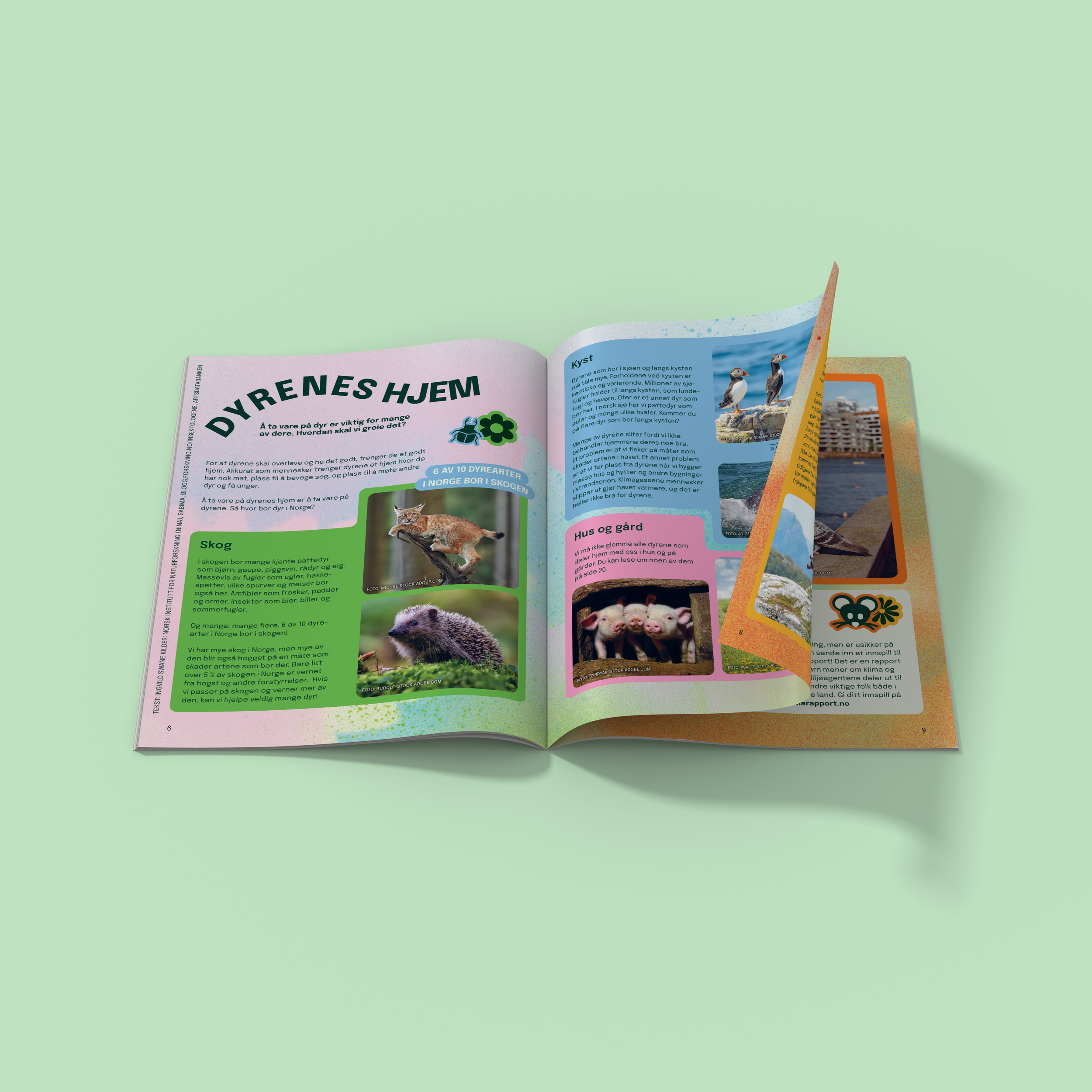 mockup.png
