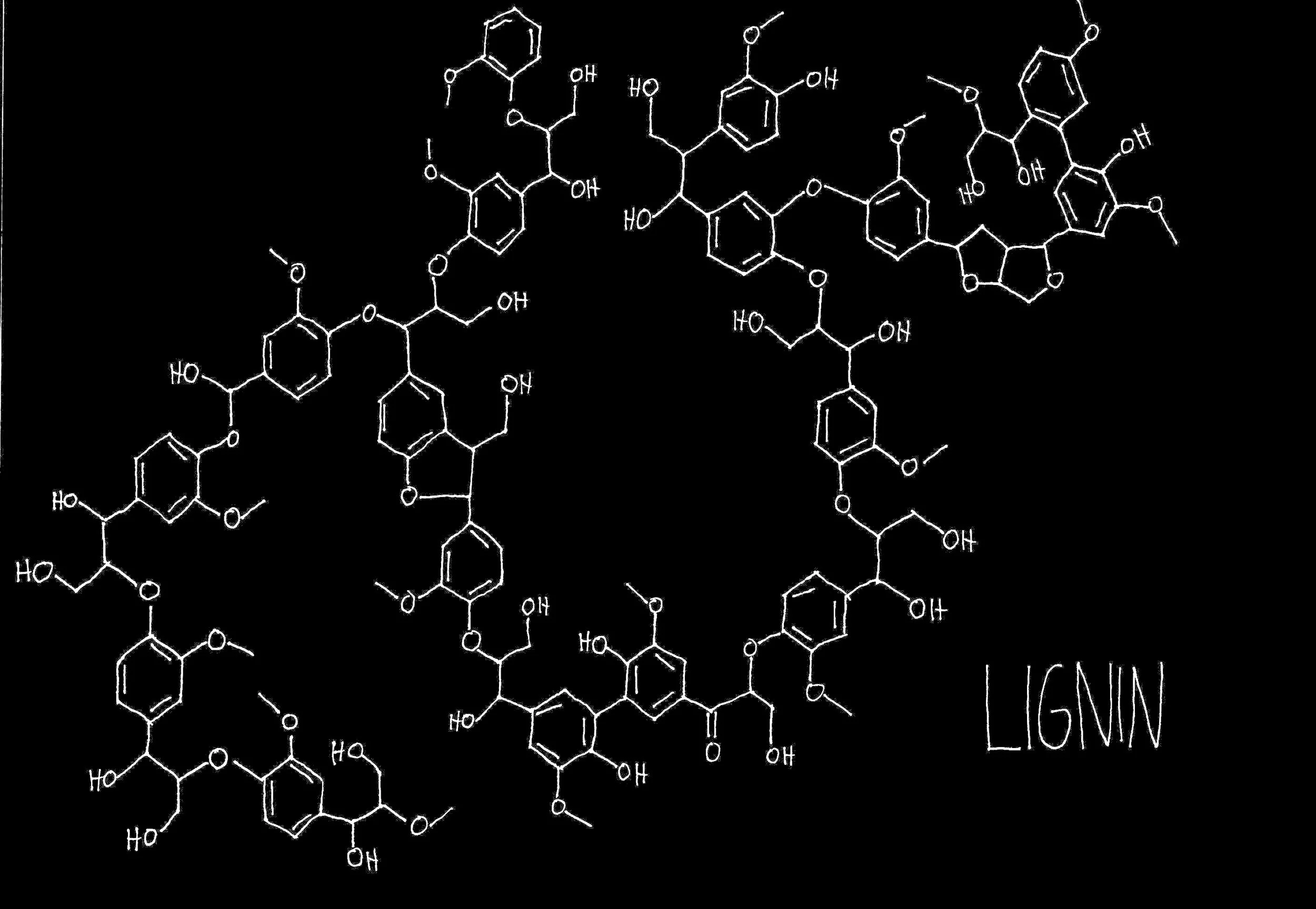 lignin black.jpeg