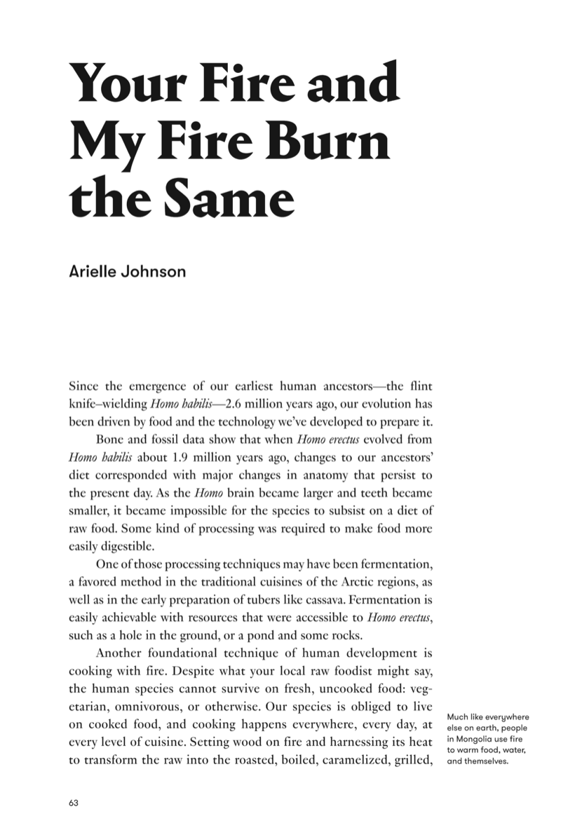 your fire and my fire first page.png