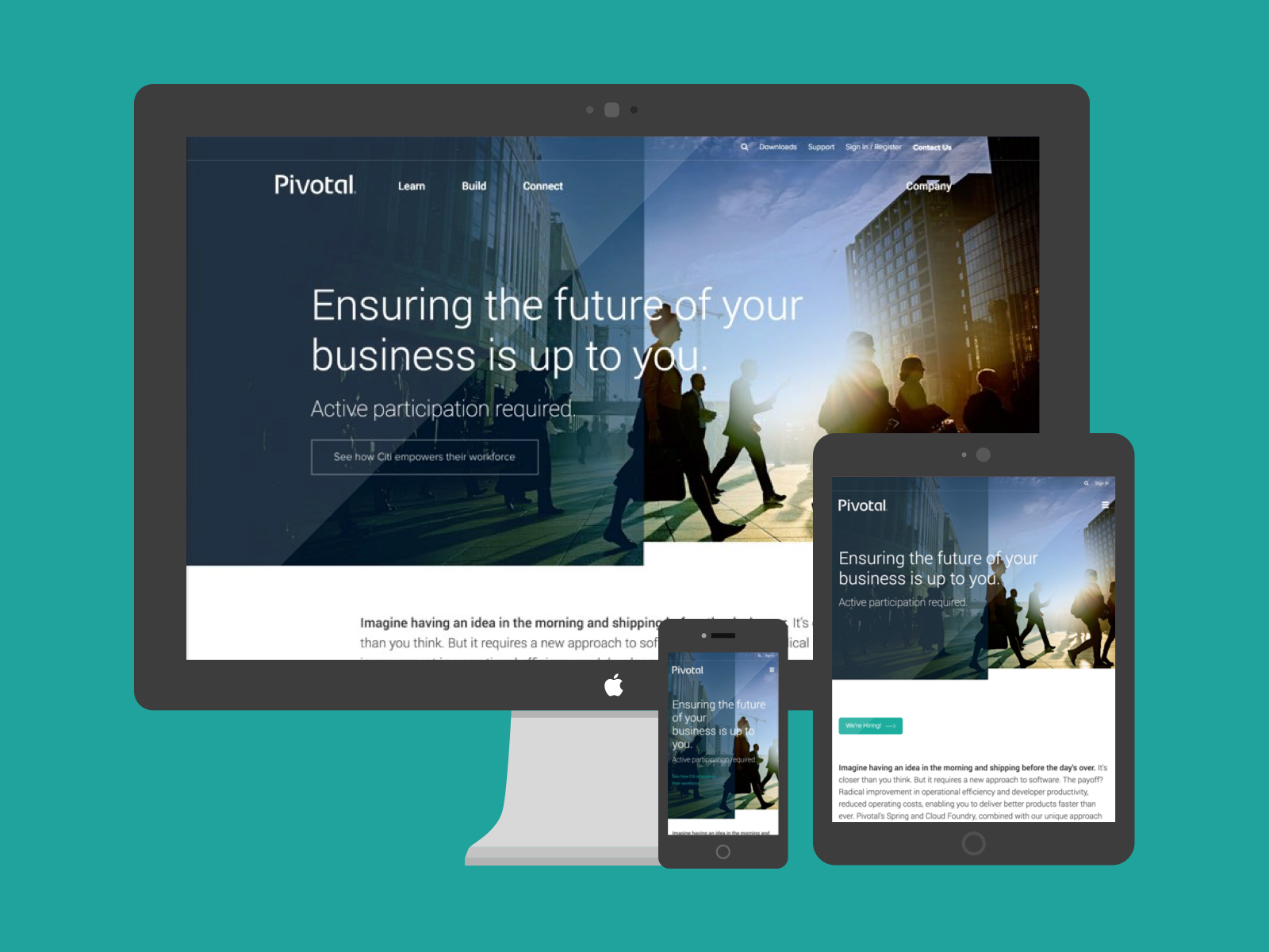 Pivotal Portfolio.png