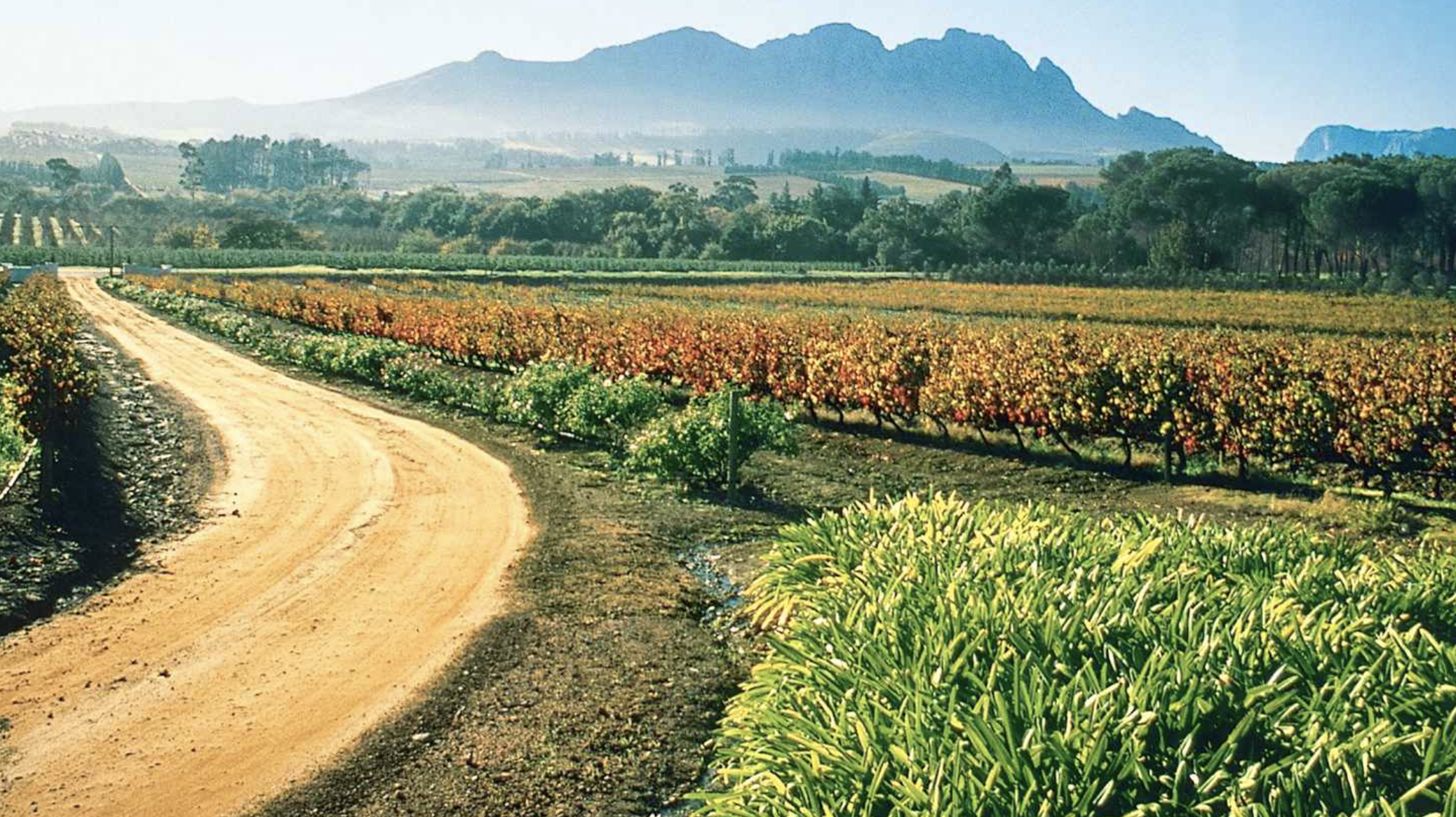 Screen Shot 2018-03-24 at 2.55.19 PM.png