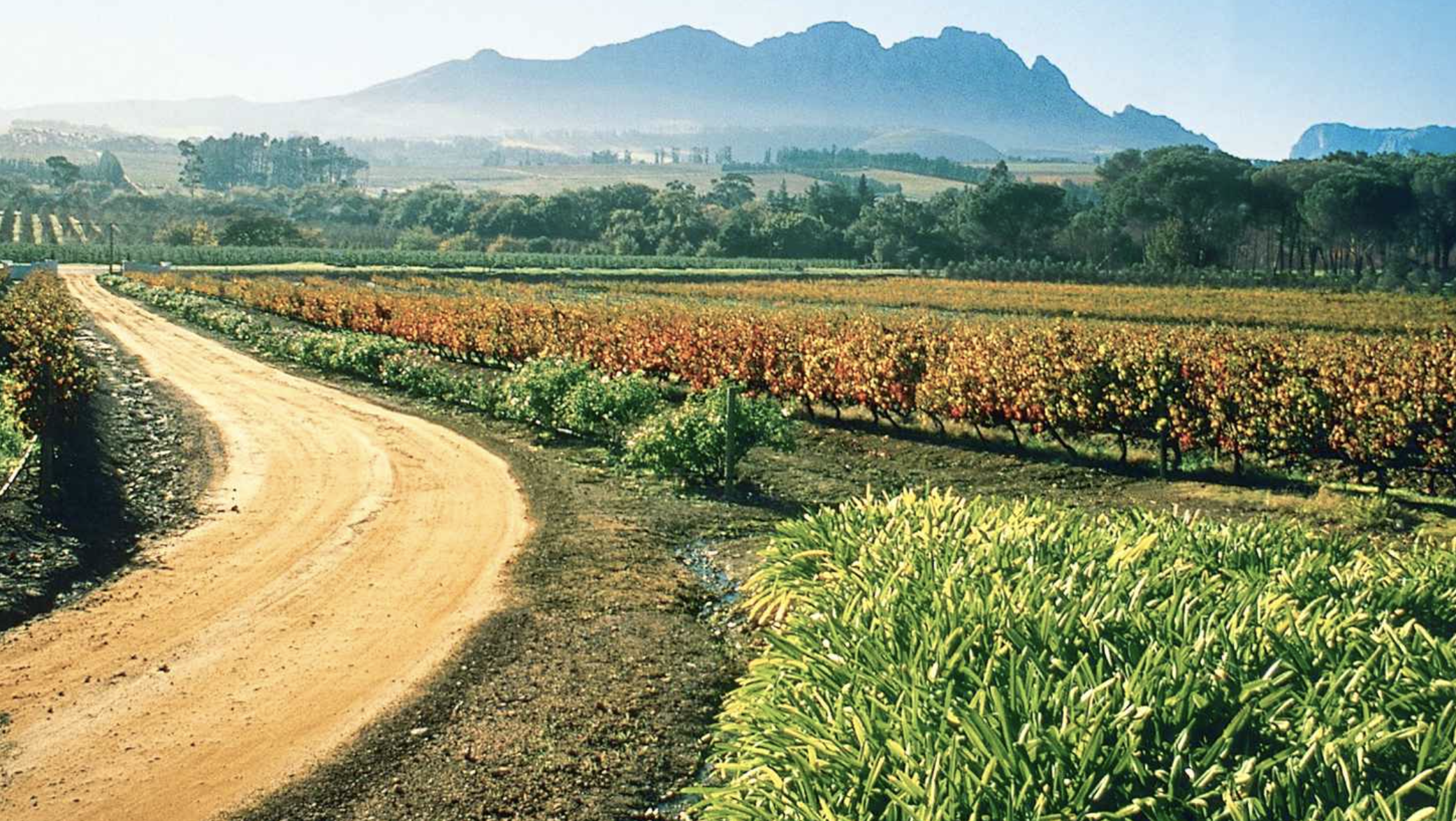 Screen Shot 2018-04-02 at 10.20.18 AM.png