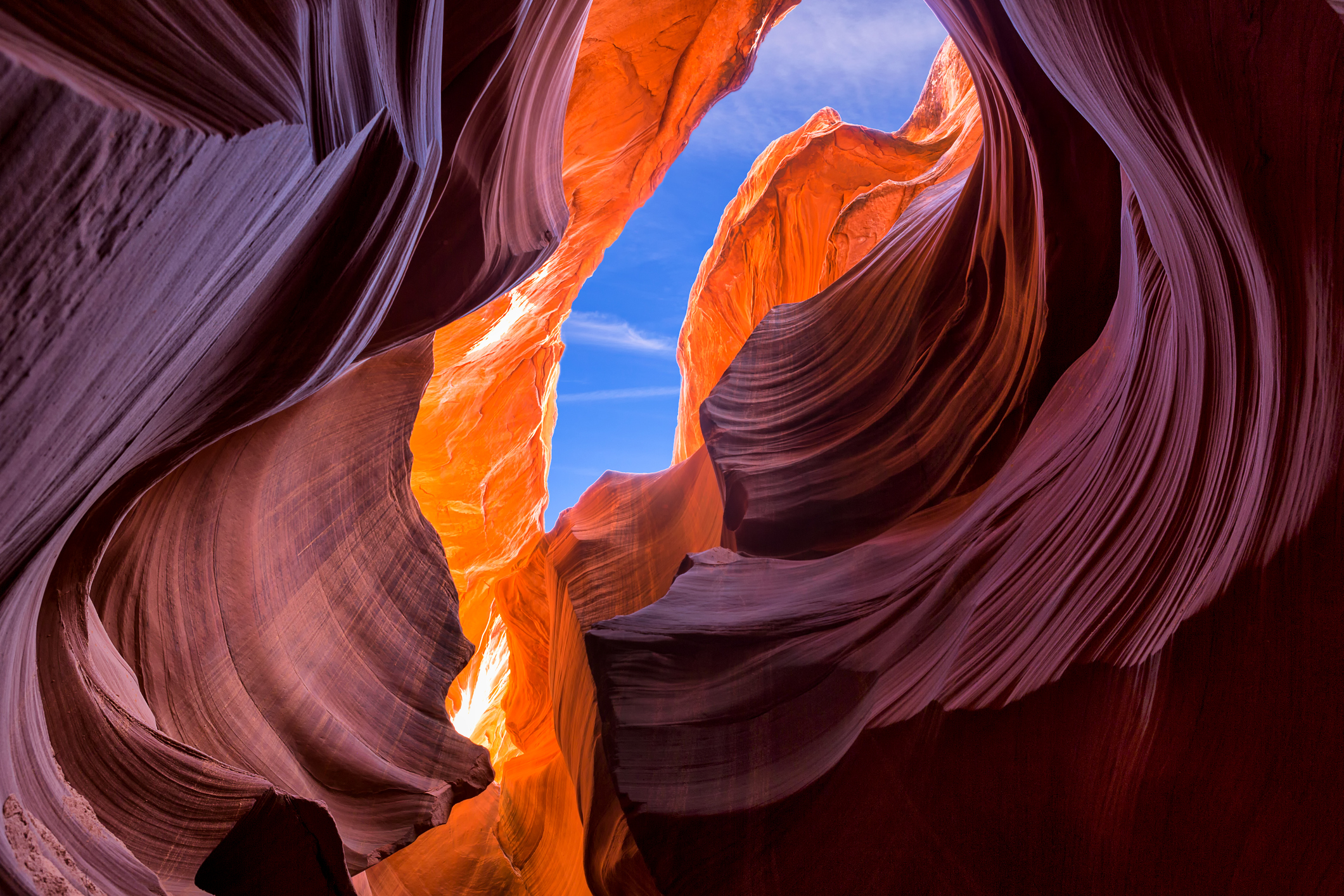 Photo by Bill_Vorasate/iStock / Getty Images