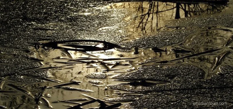 What I Learned on my Ten-Day Retreat