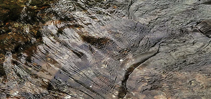 The Heart Practices: Compassion