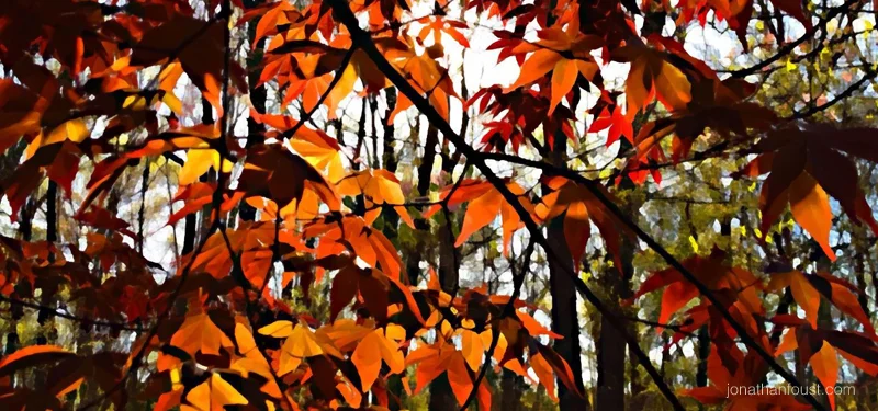 Meditation: Movement, Slow Motion Release and Resting in the Senses