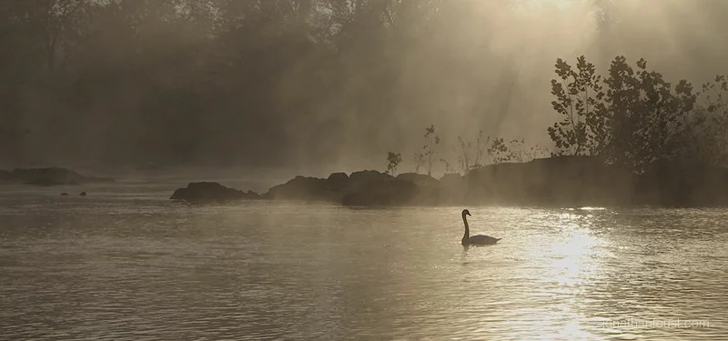 On Death and Happiness