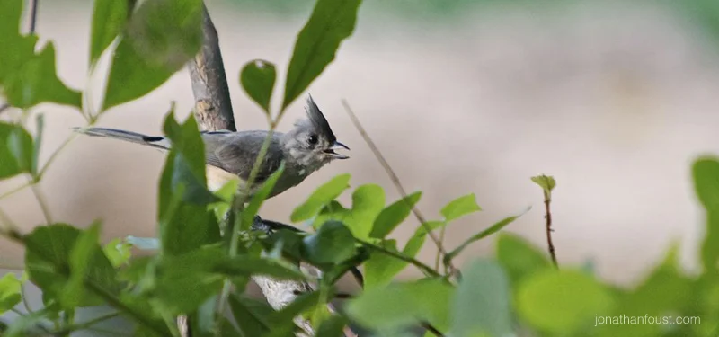 Awareness, Truth and Love