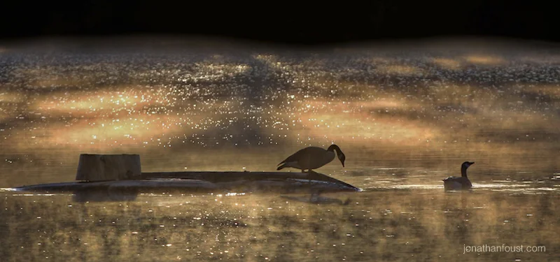 Your Obstacles are Allies