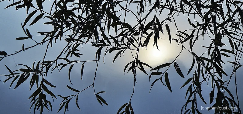 Having Tea with Your Demons