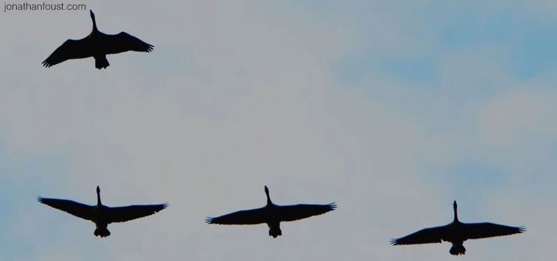 Dude, You Totally Had it Coming