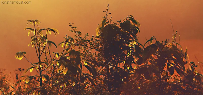 The Felt Sense of Awakened Presence