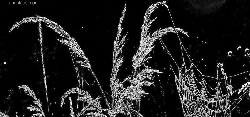 Who Are You and What Is Your Path?