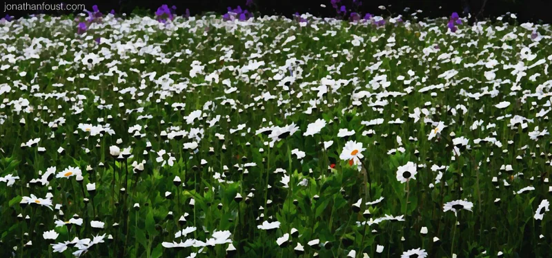 Transforming Your Relationship To Pain (Part 1)