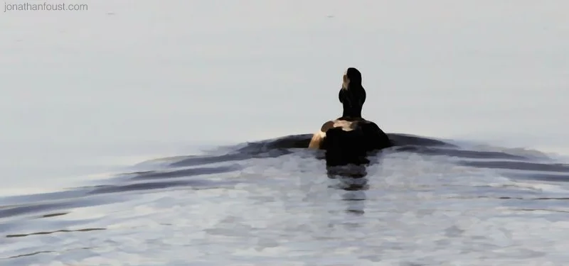 What I Learned on My 10 Day Retreat