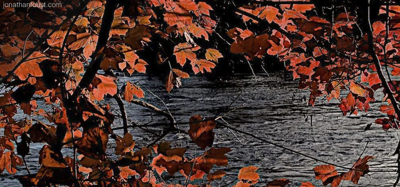 On Forgiveness and Letting Go