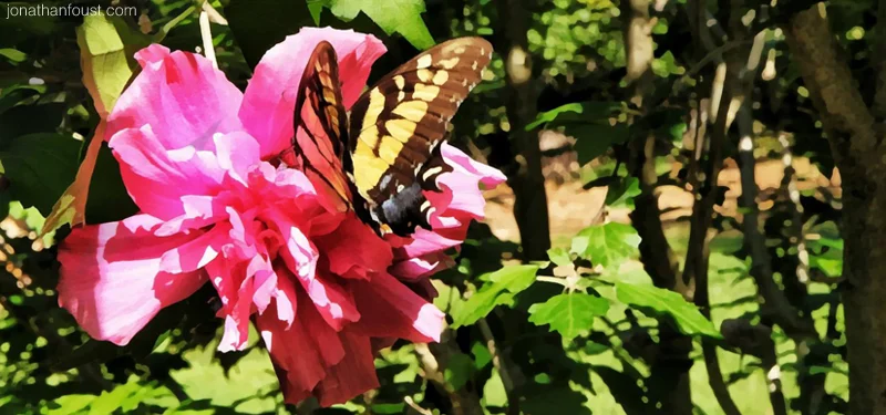 The Keys to Lasting Happiness