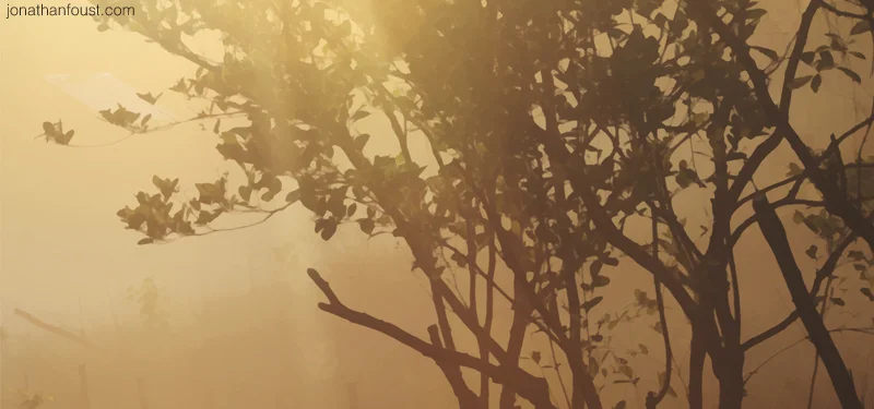 Inquiry as a Path to Awakening