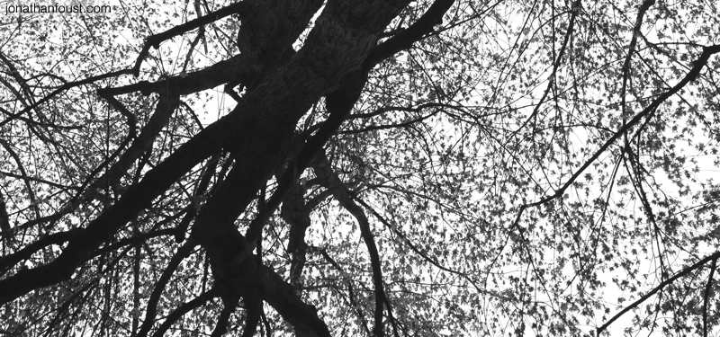 The Awakened Heart and Mind