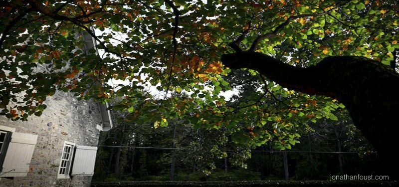 Memorial for my Father