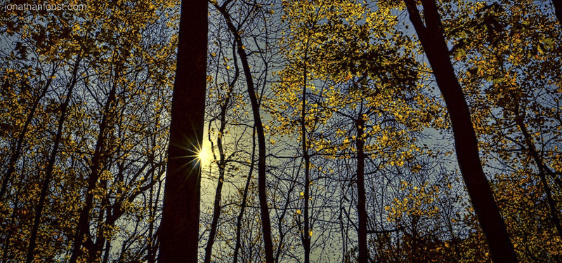 On Feeling and Healing