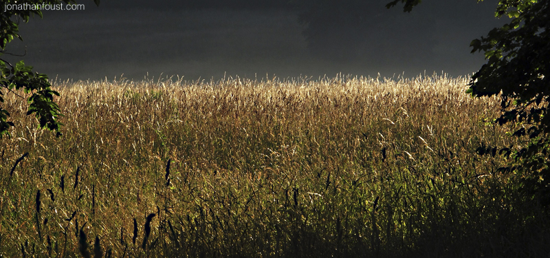 Five Weather Systems