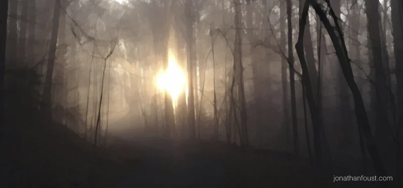 A Year of Living Mindfully