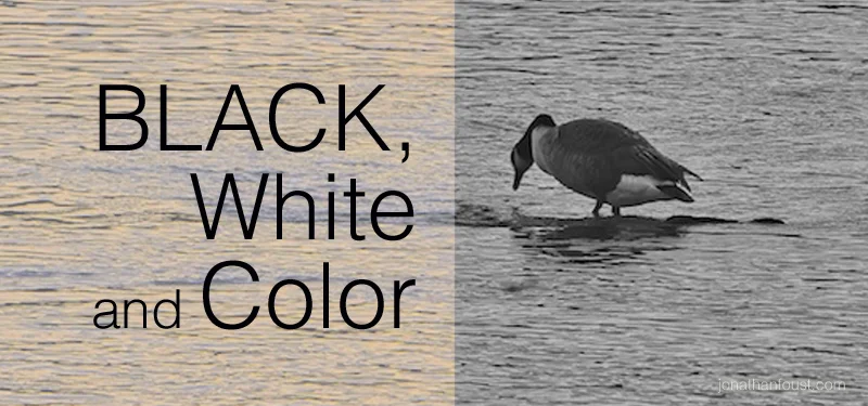 Black, White and Color