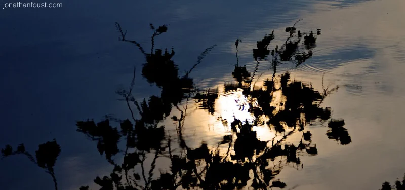 On Gratitude and Giving