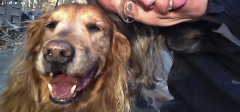 Unleashing Your Inner Golden Retriever