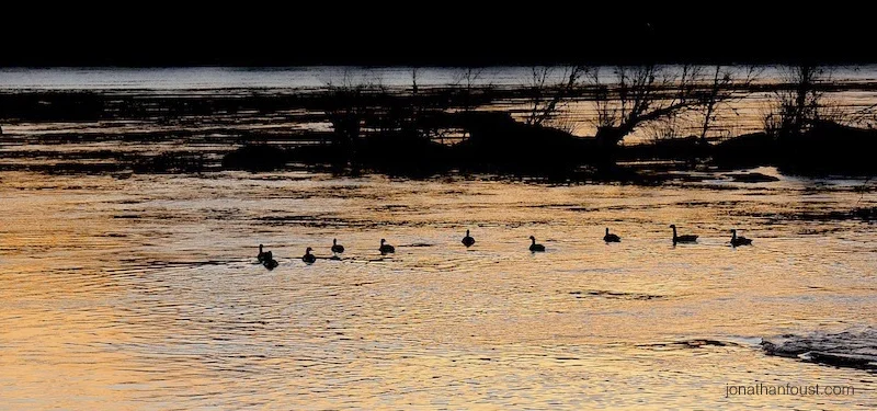 New Beginnings:  My 2014 Annual Review