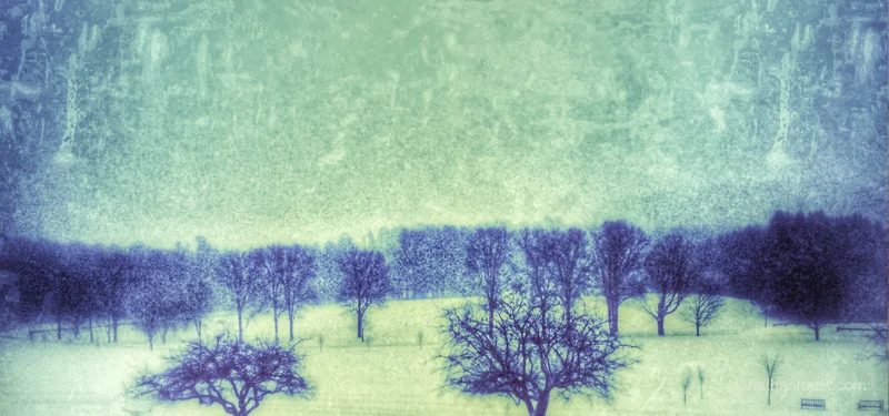 New England Winter