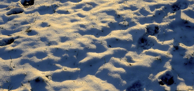 Meditation: 10 Minutes on Aliveness and Awareness