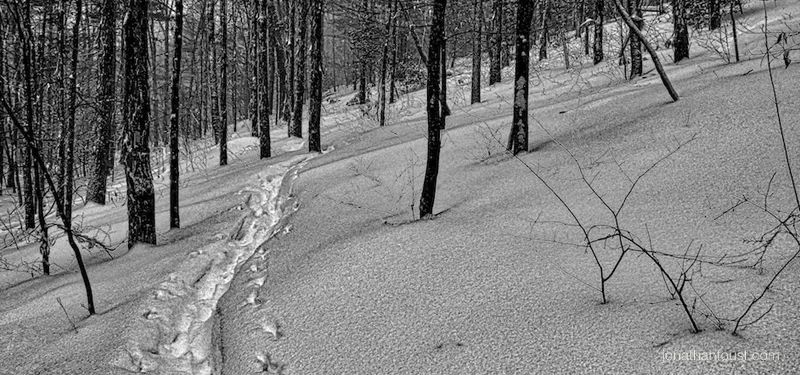 On Concentration and Mindfulness