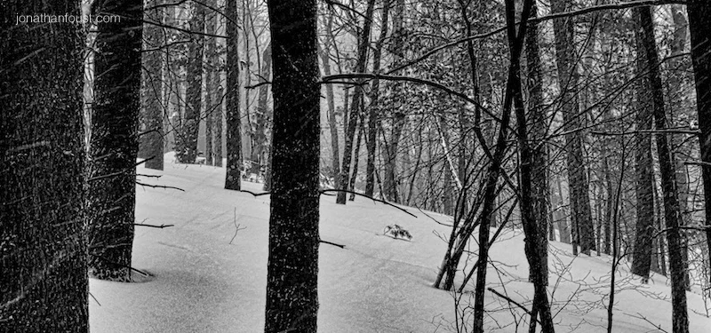 On Change, Happiness and Selflessness