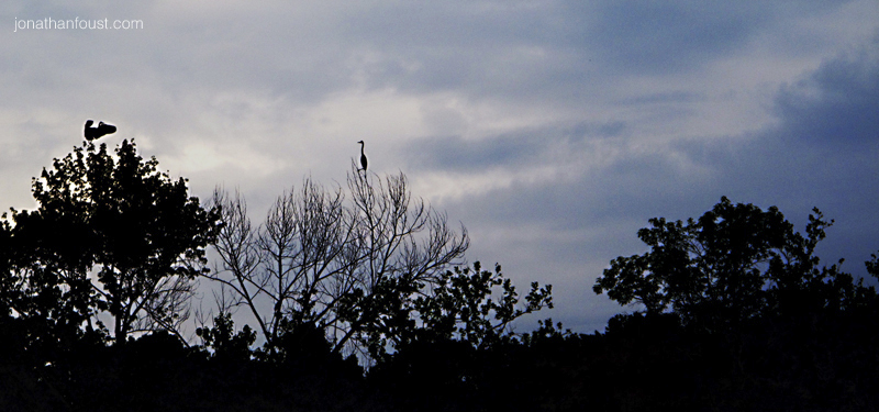 Guided Meditation - Relax and Pay Attention