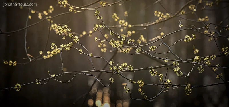 Three Kinds of Faith