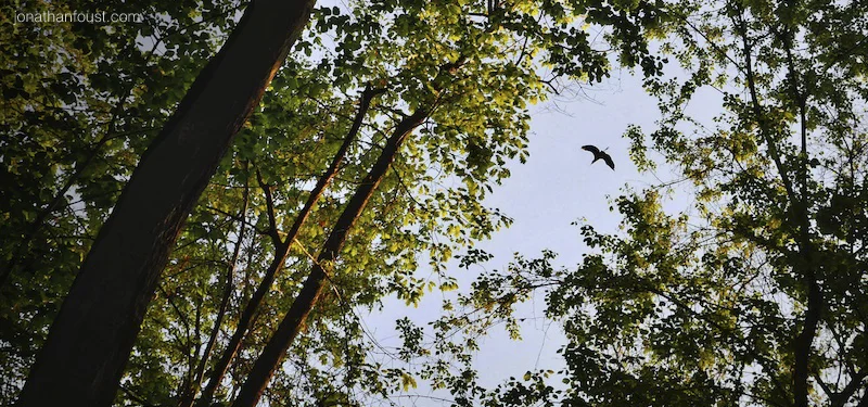 Being, Doing and Q/A