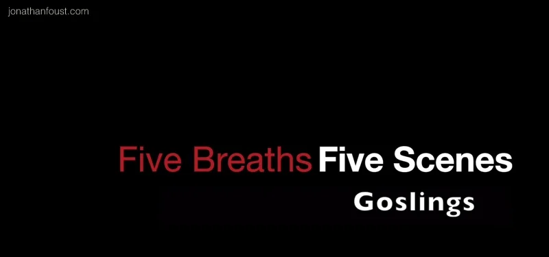 Five Breaths, Five Scenes: Goslings