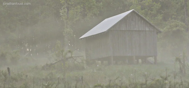 Happiness and Work: Finding Right Livelihood