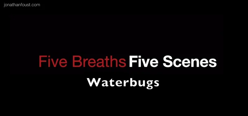 Five Breaths, Five Scenes: Waterbugs