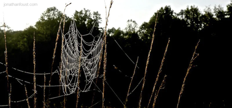 The Art of Listening