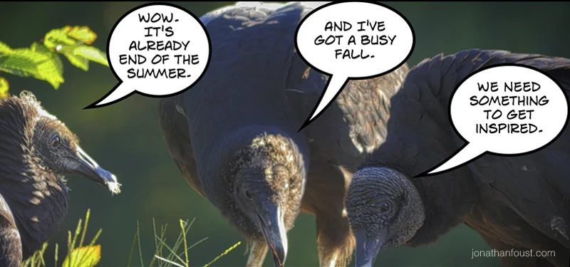 A Meditative Journey: Mindful Movement, Deep Relaxation and Sitting Meditation