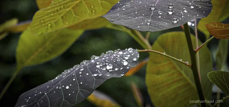 Insight on the Inside