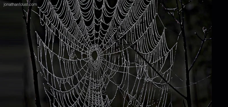 Seeing Self as Other and Other as Self